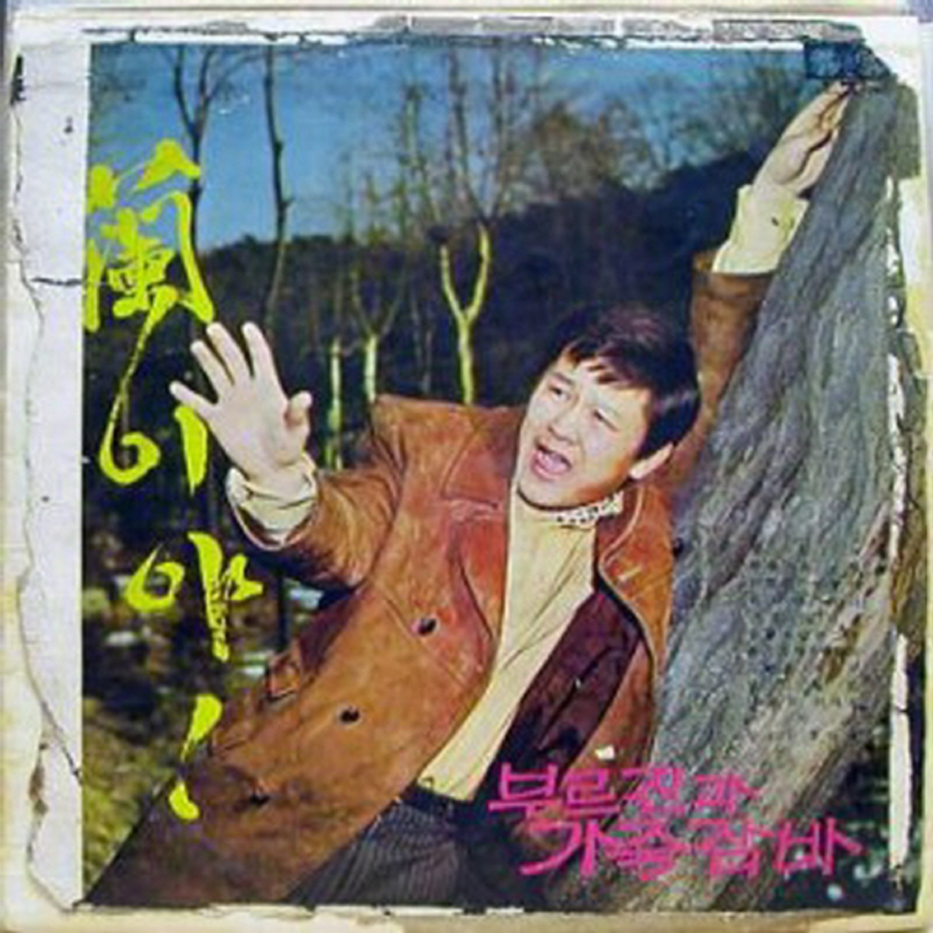 Image Cover